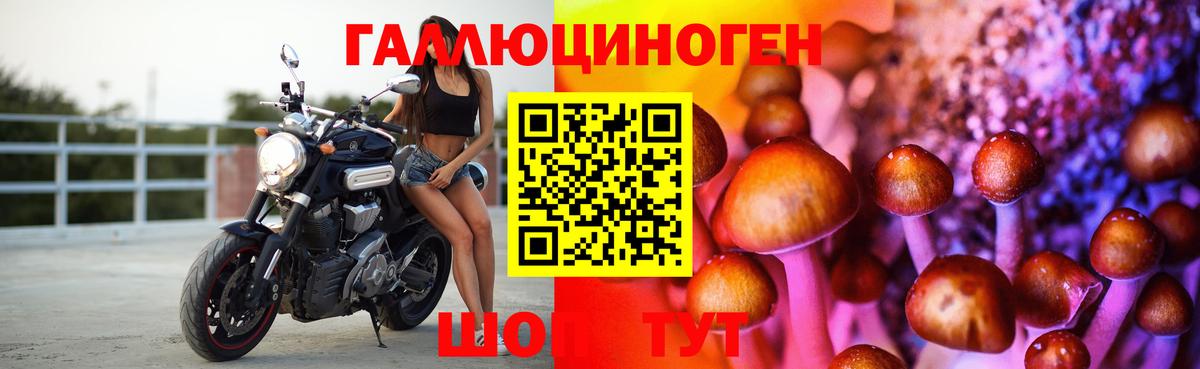 Псилоцибиновые грибы ЛСД Сердобск